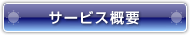 サービス概要