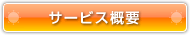 サービス概要