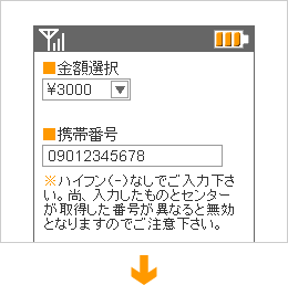 クレジットカードでの決済を選択後にユーザー様が金額等を選択します