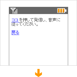 ユーザー様がビッグサンクレジットカード認証センターへ電話をします