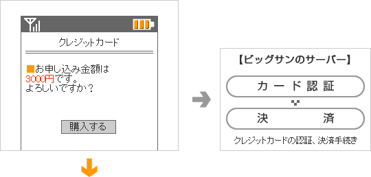 ユーザー様は決済内容を確認しお申込み
